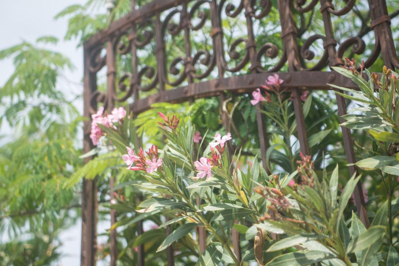 Vinauberge Poilhes Екстериор снимка